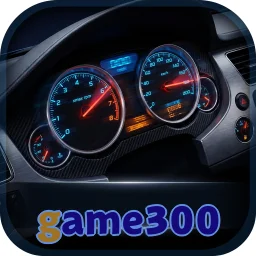 game300